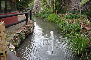 Bushveld Lodge offers child friendly family accommodation in Nelspruit