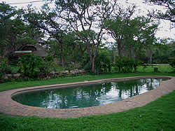 Bushveld lodge Pool 