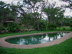 Bushveld lodge Pool